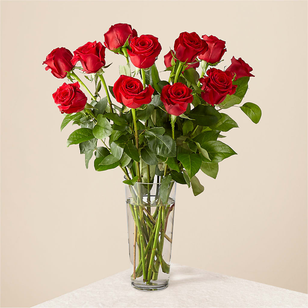 Long Stem Red Rose Bouquet – Qfc, Seattle WA