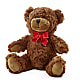Adorable Plush Bear – Qfc, Seattle WA