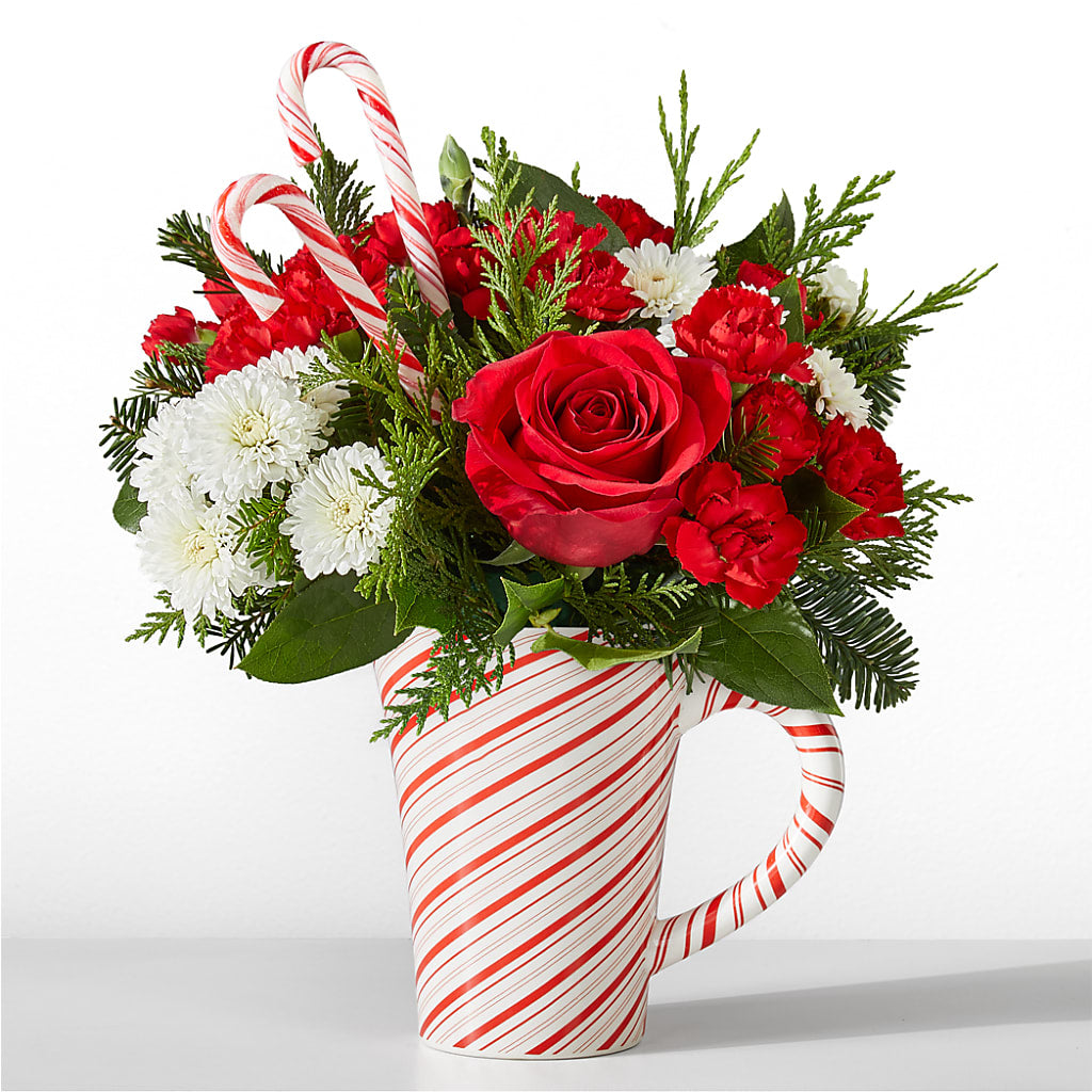 Peppermint Swirl Mug – Qfc, Seattle WA