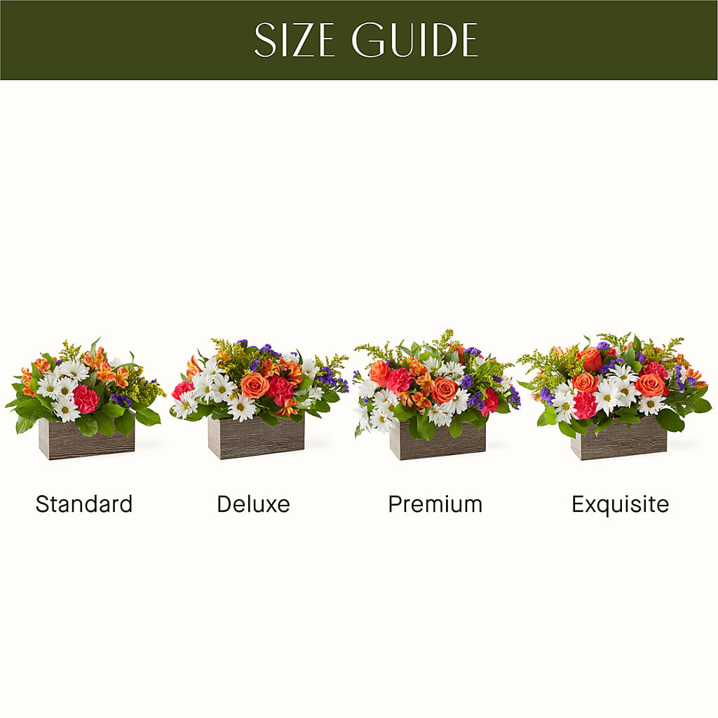 Oopsie Daisy Box Bouquet – Qfc, Seattle WA