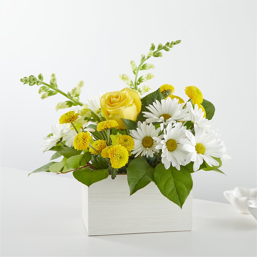 Sun Salutation Box Bouquet – Qfc, Seattle WA