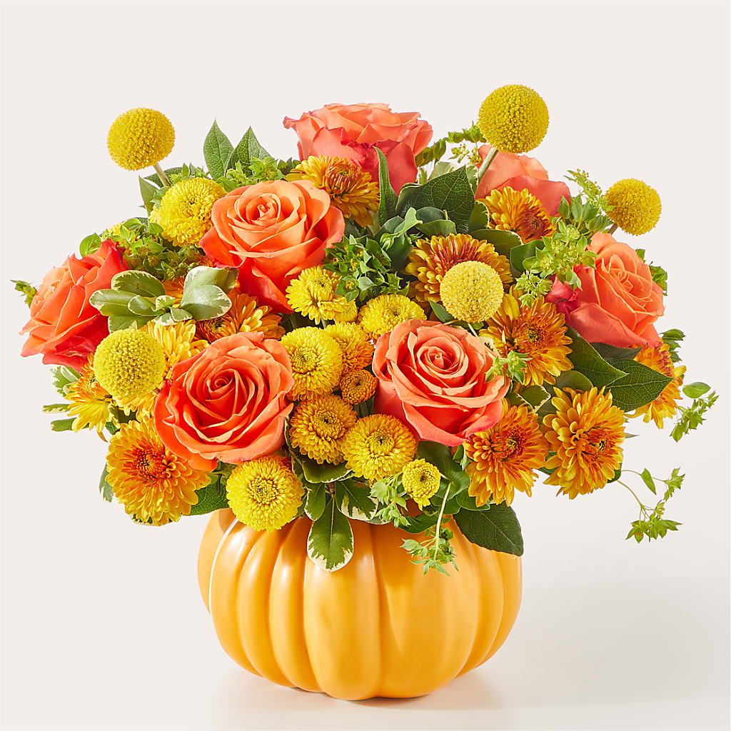 Gourdgeous Pumpkin – Qfc, Seattle WA