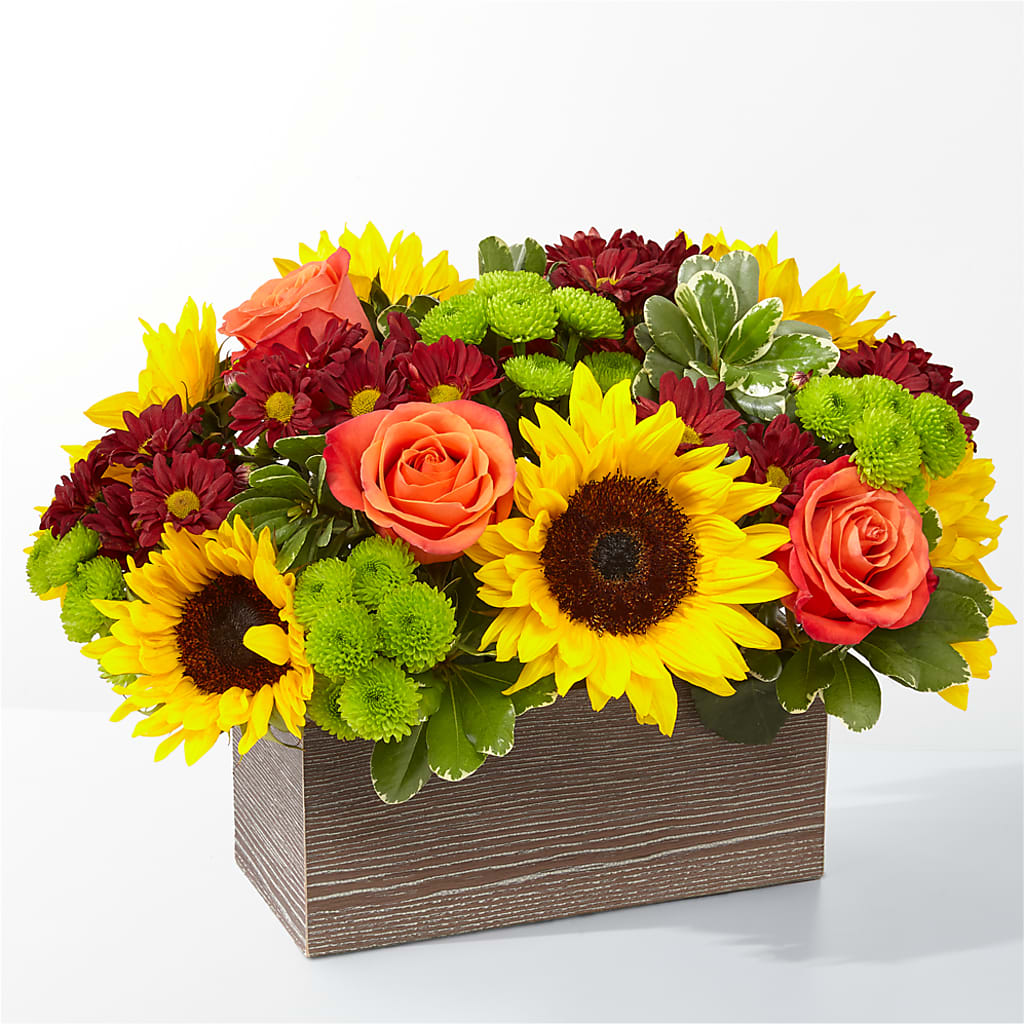 Happy Harvest Garden – Qfc, Seattle WA