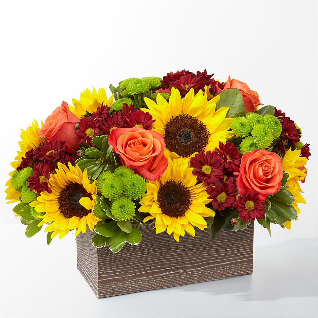 Happy Harvest Garden – Qfc, Seattle WA