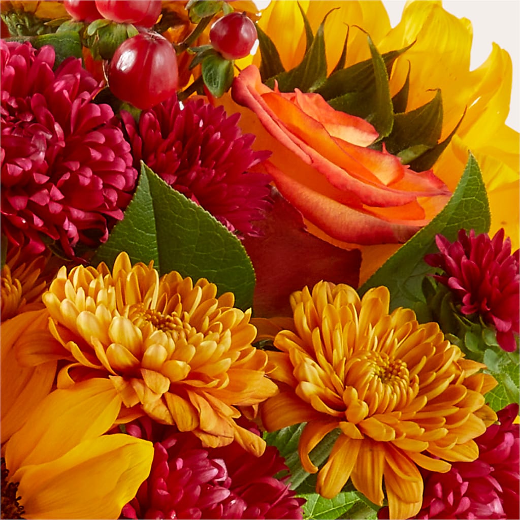 Sweater Season - A Florist Original – Qfc, Seattle WA