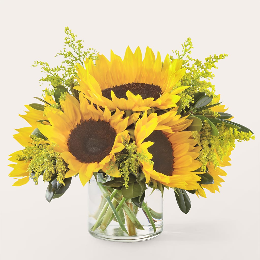 Beaming Sunflower Bouquet – Qfc, Seattle WA