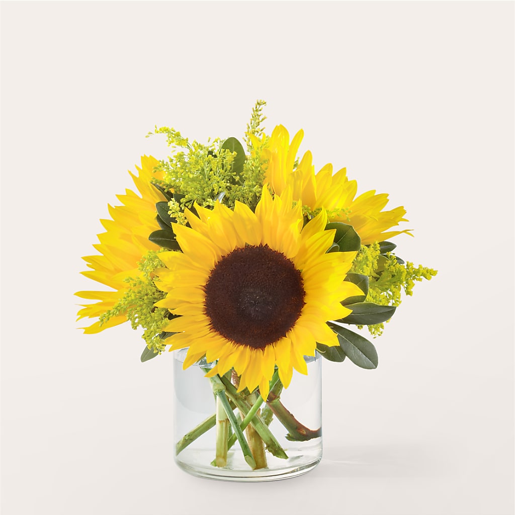 Beaming Sunflower Bouquet – Qfc, Seattle WA