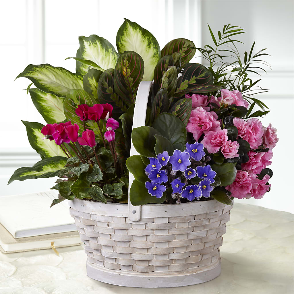 Peaceful Garden Planter – Qfc, Seattle WA