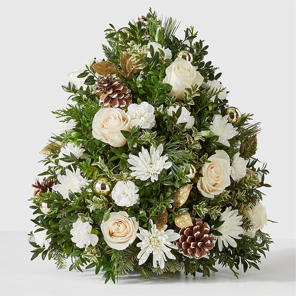 Snowed In Tree – Qfc, Seattle WA