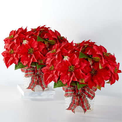 Happiest Holidays Poinsettia Bundle –  Qfc, Seattle WA