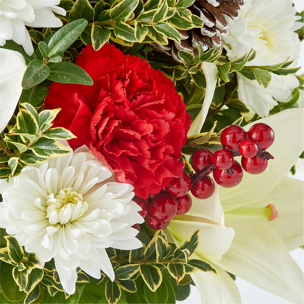 Festive Moments Tree –  Qfc, Seattle WA