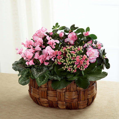 Pink Assortment –  Qfc, Seattle WA