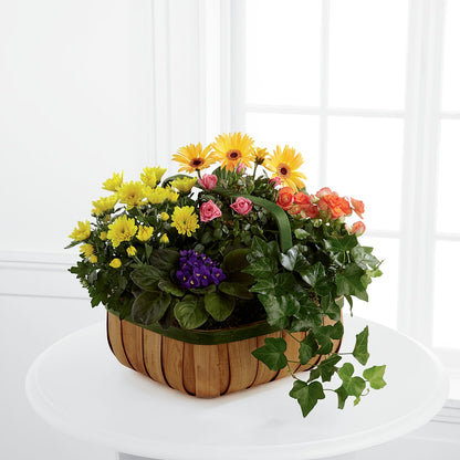 Gentle Blossoms Basket –  Qfc, Seattle WA
