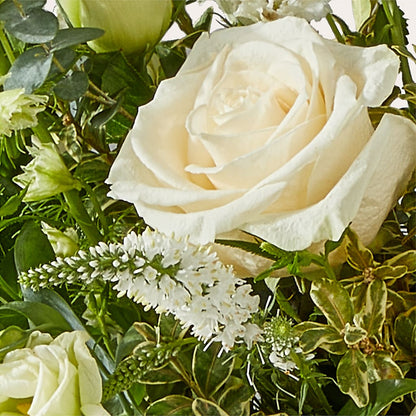 Cashmere Bouquet –  Qfc, Seattle WA