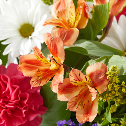 Oopsie Daisy Box Bouquet –  Qfc, Seattle WA
