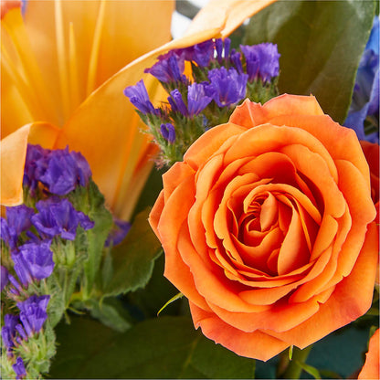 Radiant Citrus Box Bouquet –  Qfc, Seattle WA