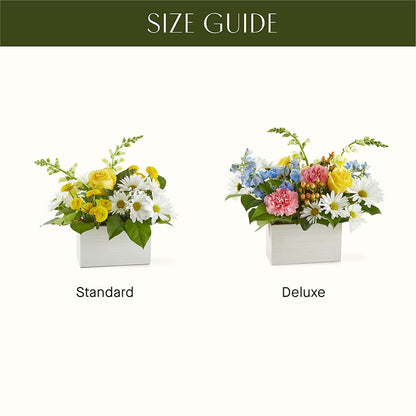 Sun Salutation Box Bouquet –  Qfc, Seattle WA