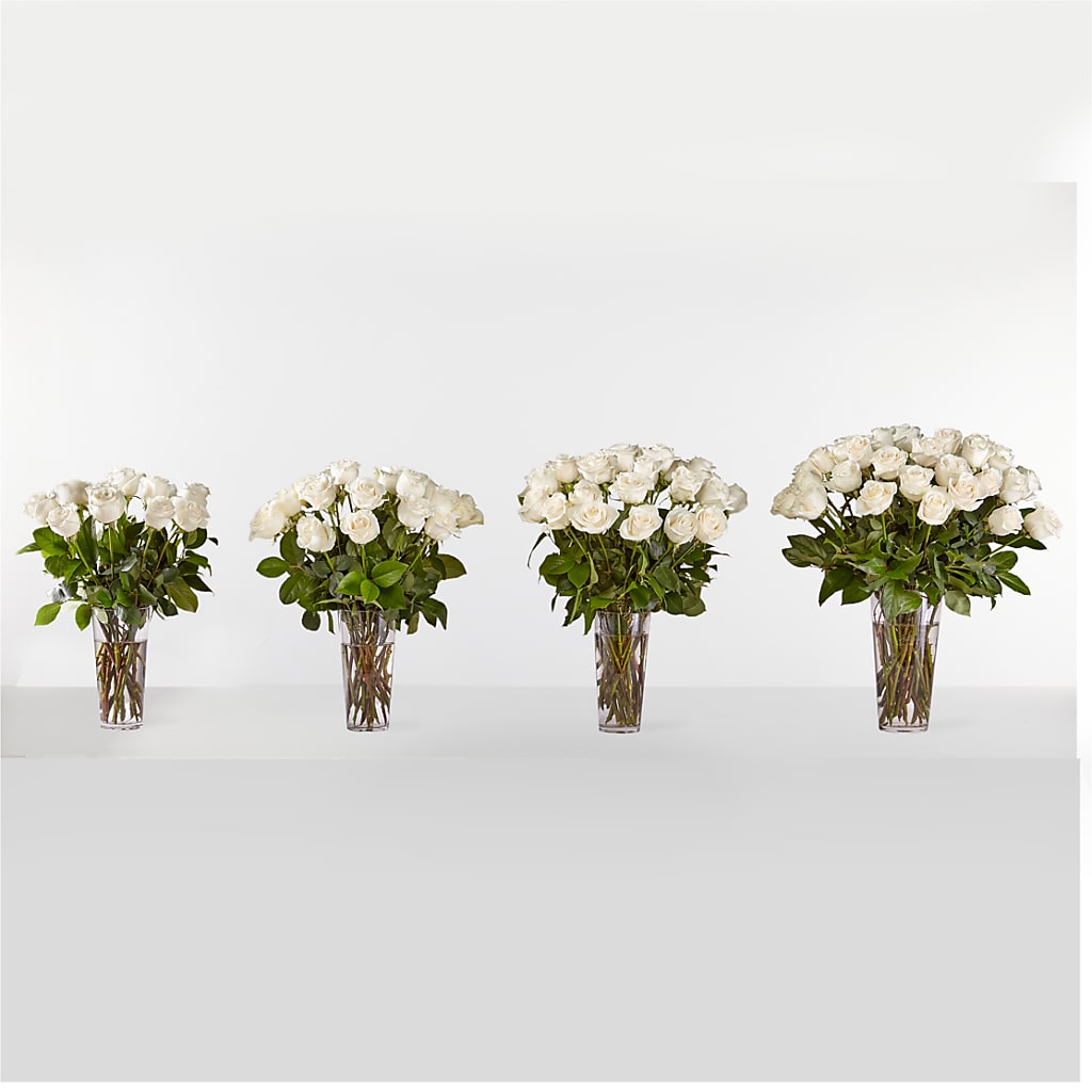 Long Stem White Rose Bouquet –  Qfc, Seattle WA