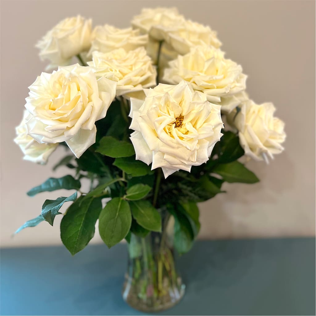 Long Stem Yellow Rose Bouquet –  Qfc, Seattle WA