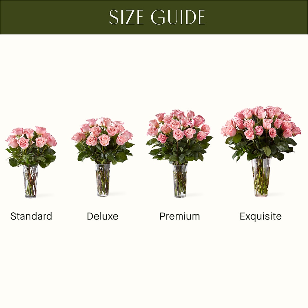 Long Stem Pink Rose Bouquet –  Qfc, Seattle WA