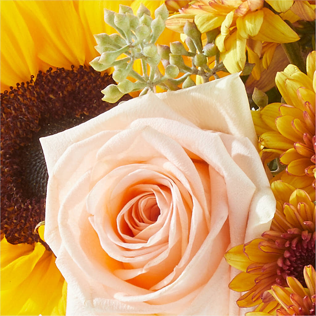 Pumpkin to Talk About Bouquet –  Qfc, Seattle WA