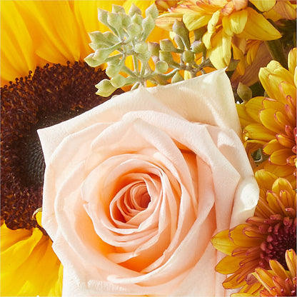 Pumpkin to Talk About Bouquet –  Qfc, Seattle WA
