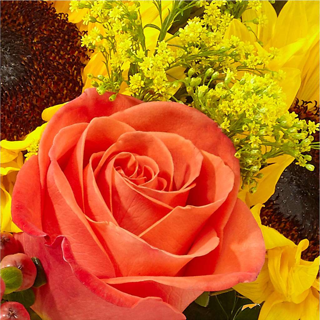 Pick of the Patch Pumpkin Bouquet –  Qfc, Seattle WA