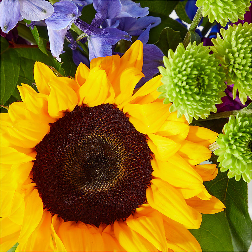 Catching Rays Bouquet –  Qfc, Seattle WA