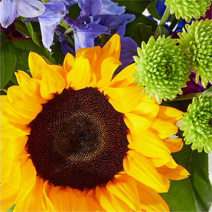 Catching Rays Bouquet –  Qfc, Seattle WA