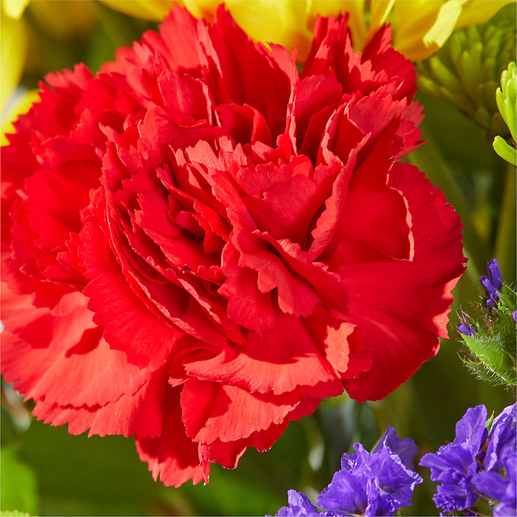 Brighter Days Bouquet –  Qfc, Seattle WA