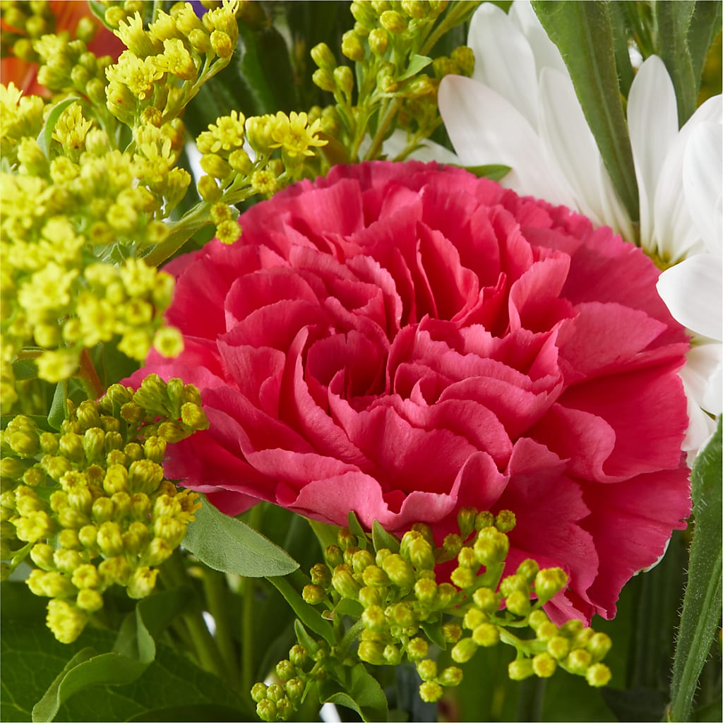 Oopsie Daisy Bouquet –  Qfc, Seattle WA