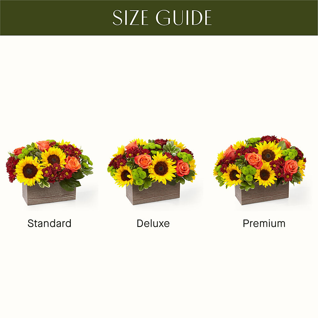 Happy Harvest Garden –  Qfc, Seattle WA