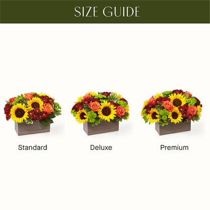 Happy Harvest Garden –  Qfc, Seattle WA