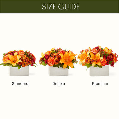 Backyard Bonfire Bouquet –  Qfc, Seattle WA