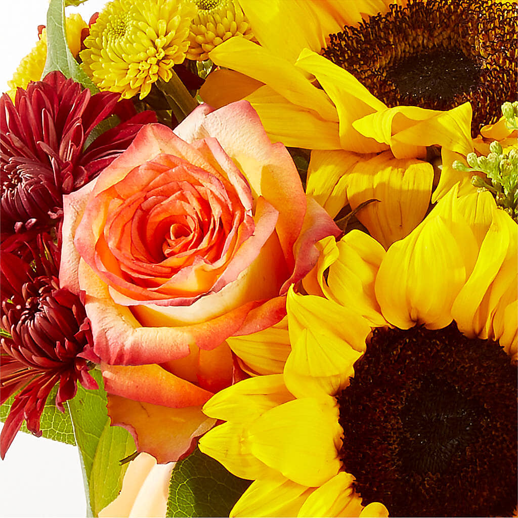 Golden Gourd Pumpkin Bouquet –  Qfc, Seattle WA