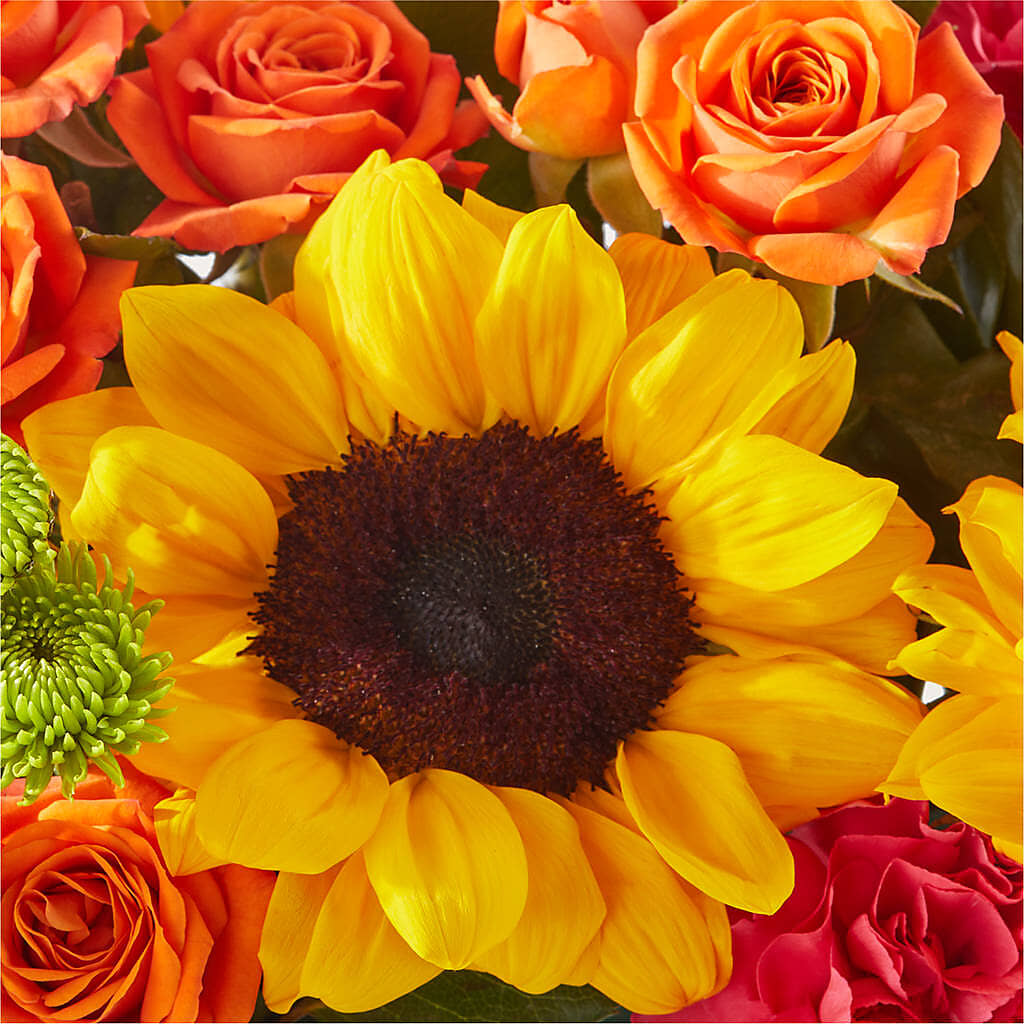 Sun-drenched Blooms Box Bouquet –  Qfc, Seattle WA