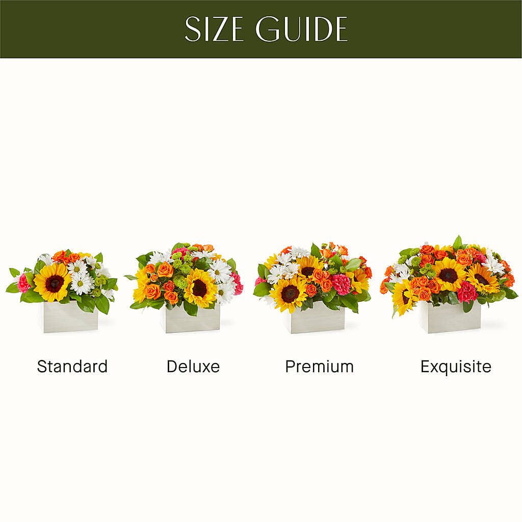 Sun-drenched Blooms Box Bouquet –  Qfc, Seattle WA