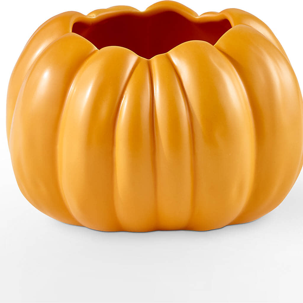Golden Gourd Pumpkin Bouquet –  Qfc, Seattle WA