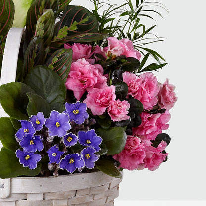 Peaceful Garden Planter –  Qfc, Seattle WA