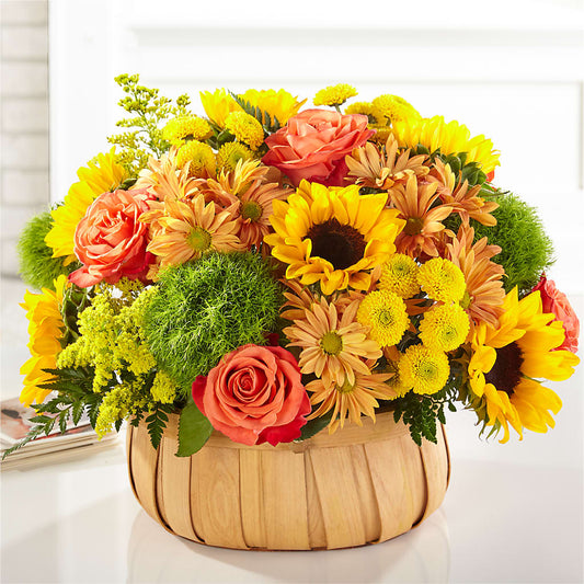 Harvest Sunflower Basket –  Qfc, Seattle WA