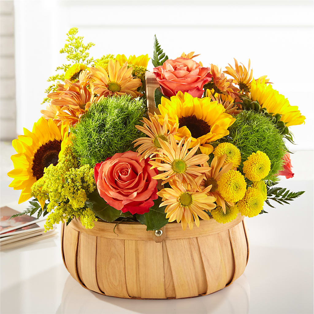 Harvest Sunflower Basket –  Qfc, Seattle WA
