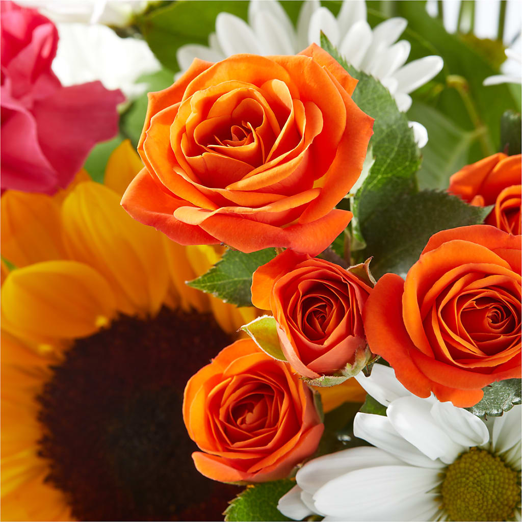 Sun-drenched Blooms Bouquet –  Qfc, Seattle WA