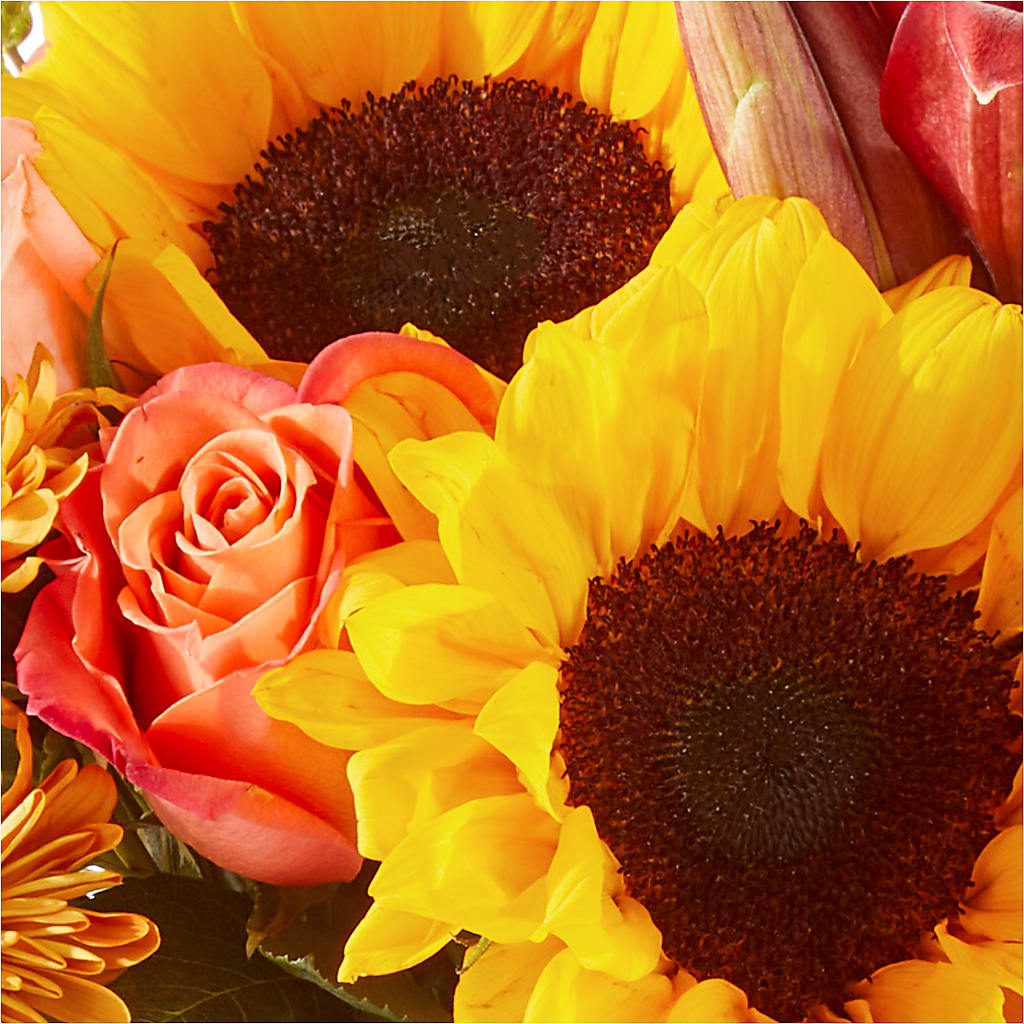 Acorn Lane Bouquet –  Qfc, Seattle WA