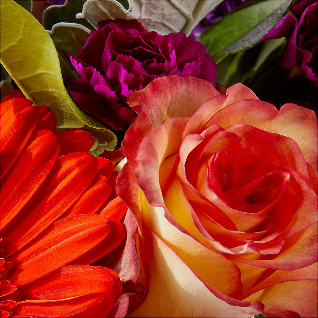 Sangria Bouquet –  Qfc, Seattle WA