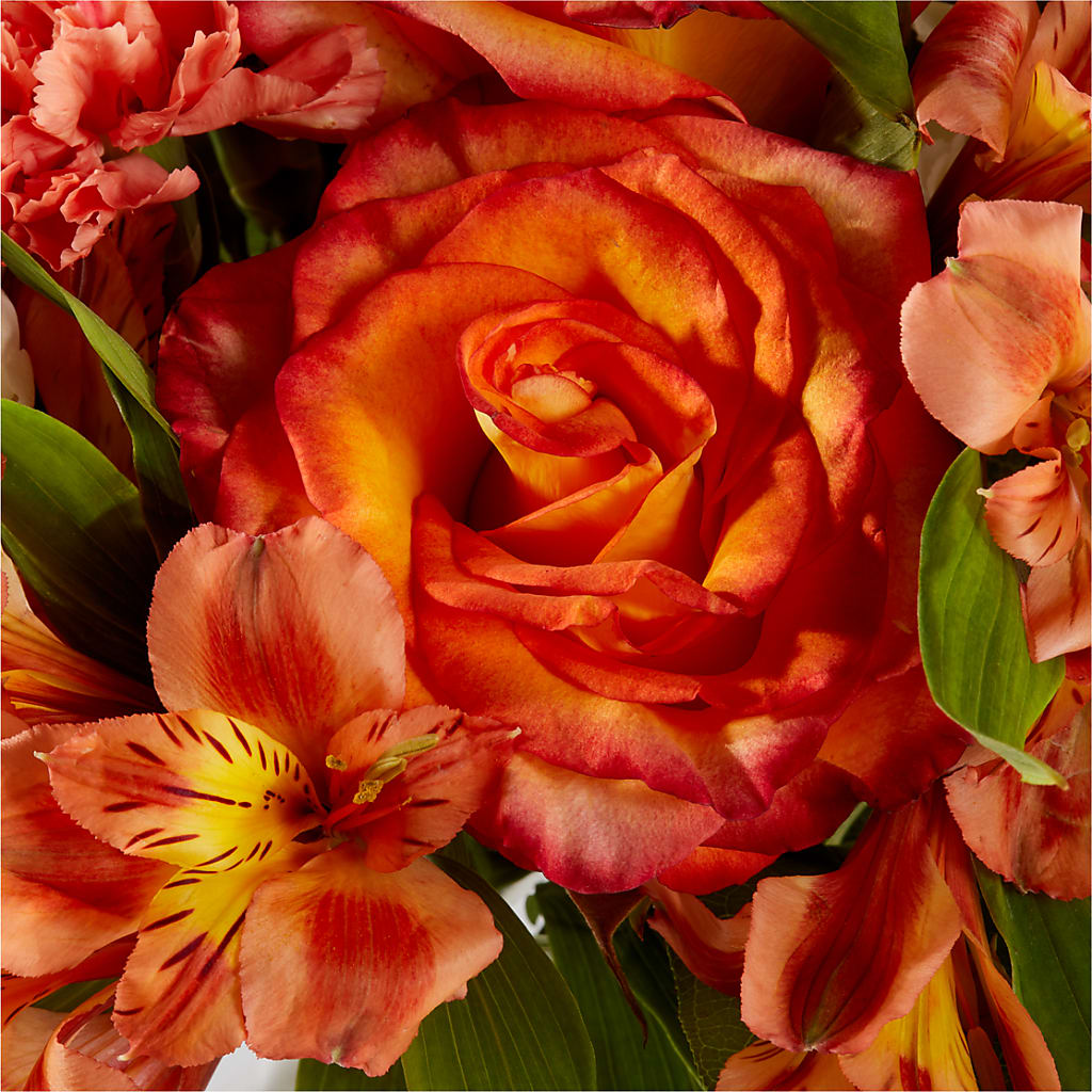 Apricot Glow Bouquet –  Qfc, Seattle WA