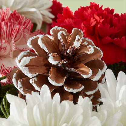 Candy Cane Lane Bouquet –  Qfc, Seattle WA