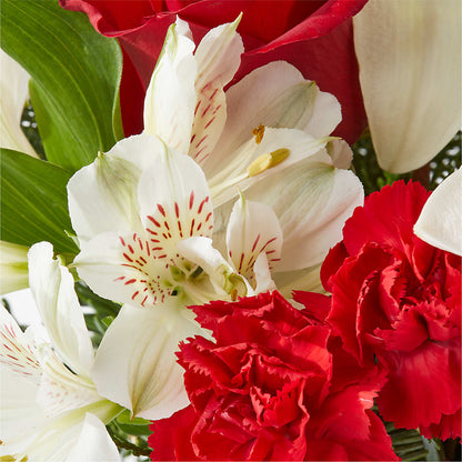 Holiday Season Bouquet –  Qfc, Seattle WA