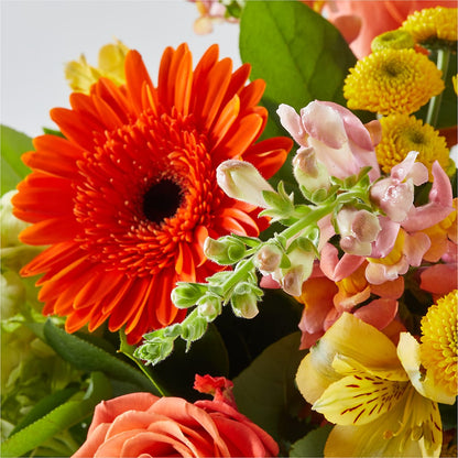 Autumn Sunshine Bouquet –  Qfc, Seattle WA