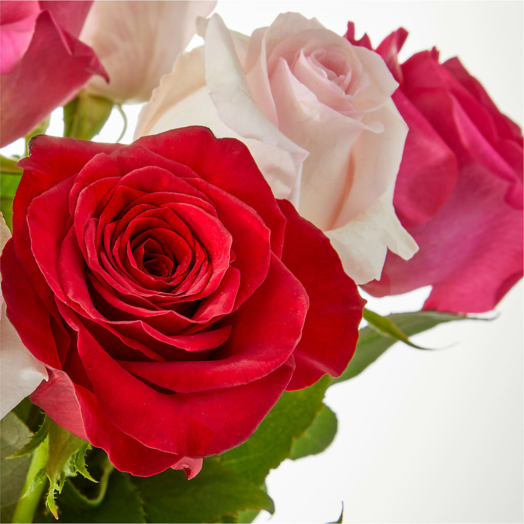 Charming Rose Bouquet –  Qfc, Seattle WA