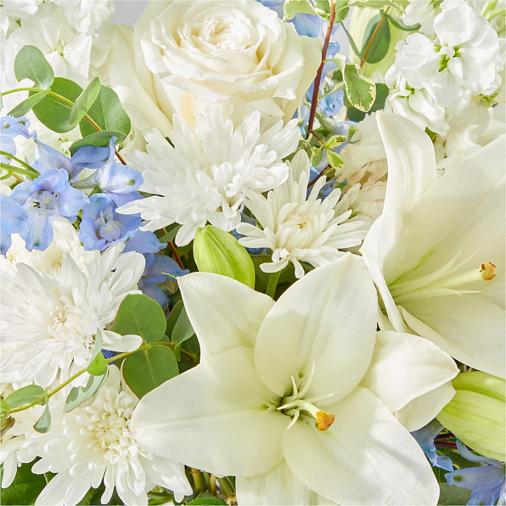 Peace of Mind Bouquet –  Qfc, Seattle WA